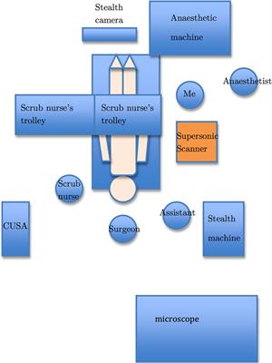 Clinical Application of Shear Wave Elastography for Assisting Brain Tumor Resection